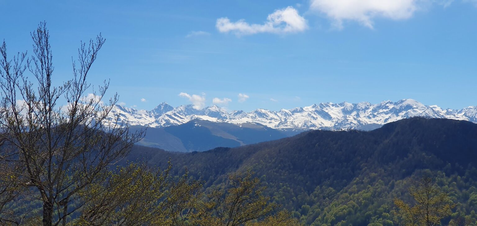 16-04-2026 Photos N. Clavières – Les mails lourdais en boucle avec N. Clavières et E. Sergent