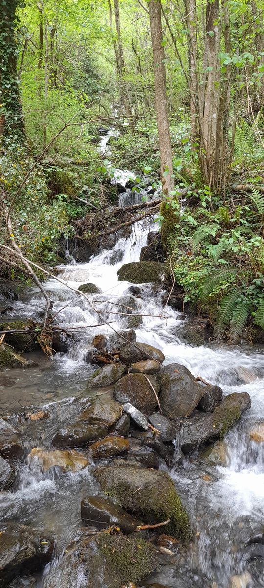 26-04-2026 Photos A.Capdebarthe – Circuit du Dabantaygues par Beaucens et Artalens avec J.Cazaubon et M.Dupouy