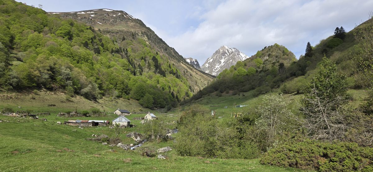 29-04-2026 Photos K.Mouscardes – Tuhou du Goulet avec J-L.Dandré et C.Ridou