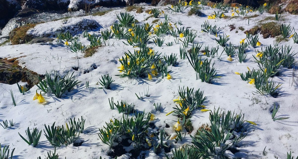 14-04-2026  Photos M. Vignau – Refuge de Pombie depuis Soques avec G. Save et D. Cavero