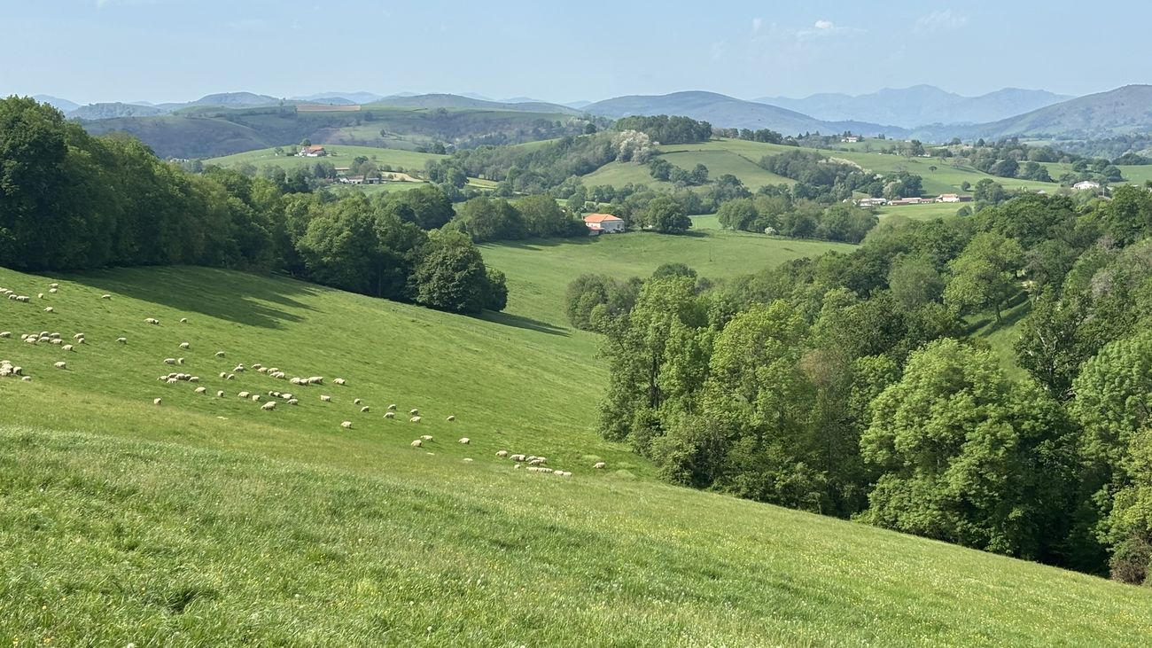 19 / 21-04-2026  Photos P. Barreix – Jour 2 – Séjour Compostelle avec F. Lahore et F. Guiguen