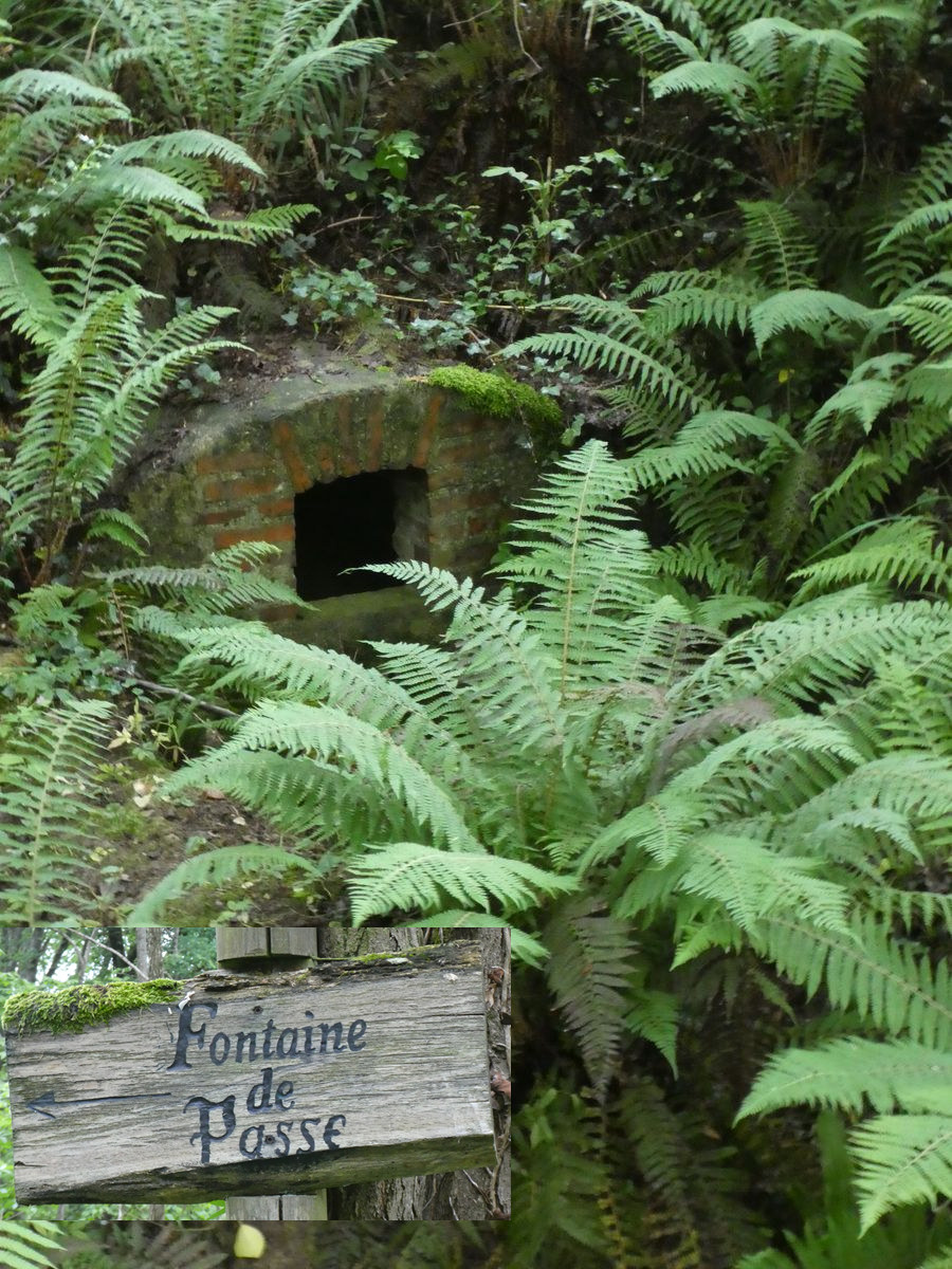 01-05-2026 Photos F. Daligaux – Le sentier des fontaines avec M. Castelain et M. Jorda