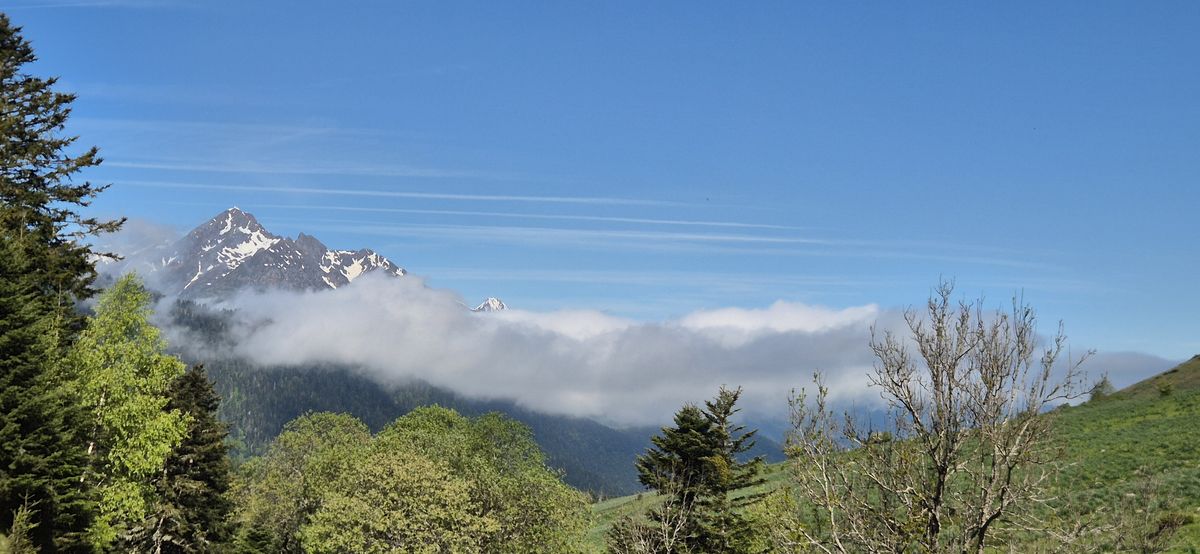 20-05-2026 Photos S. Fraysse – Cap du Tuquet en boucle depuis Mont avec S. Fraysse et C. Ridou