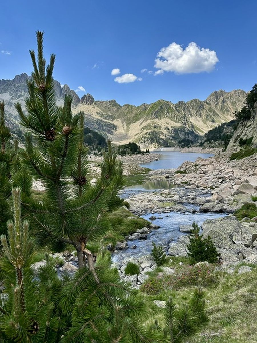 24-06-2026 Photos Ch. Laulhère – Lacs de Montarrouye, Cul de Gourgs, Col de Couradette, lacs de l’I, Gréziolles avec Ch. Laulhère et J-J. Cazala