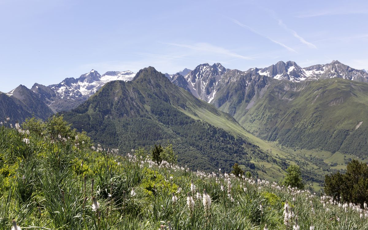 13-06-2026   Photos F. Cavaillès – Montagne fleurie avec M. et A. Montesinos