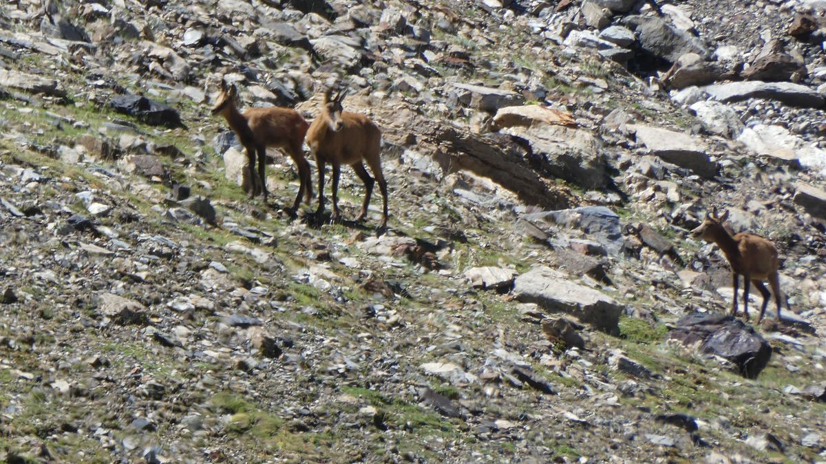 29-08-2026 Photos S. Mas – Col des Cintes Blanques avec S. Mas et J. Cazaubon