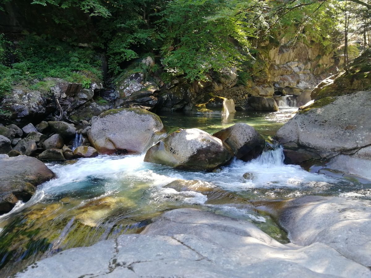 12-09-2026 Photos G. Colmache – Chemin des Cascades avec H. Latkowski et R. Dantin