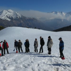 Formation neige